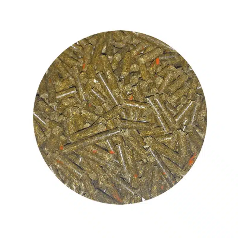 Cereal Free Reverdy granulés pour chevaux Sellerie Equinoxe