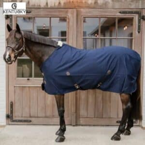 Chemise D'équitation Femme Kerrits, Manches Courtes, Noire, Taille S - Occasion
