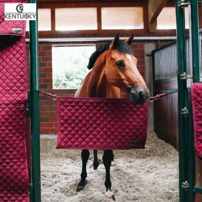 Porte de box Stable Guard bordeaux KENTUCKY Sellerie Équinoxe