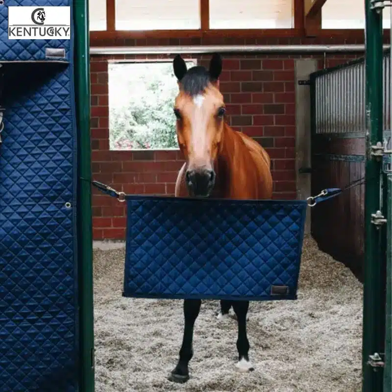 Porte de box Stable Guard marine KENTUCKY Sellerie Équinoxe