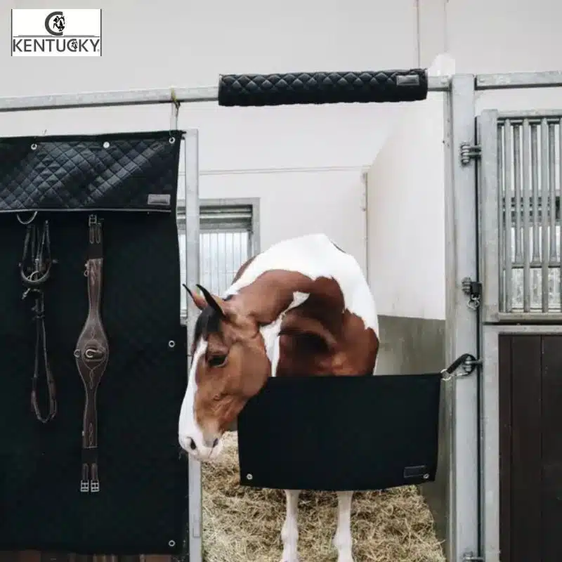 Protection de tête noir Head Protector KENTUCKY Sellerie Equinoxe