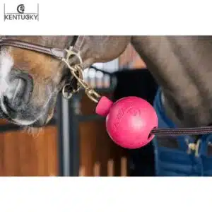 Balle protection d'attache fushia Kentucky Sellerie Equinoxe