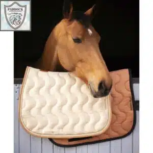 TAPIS PADDOCK ORIGINE SIGNATURE Paddock Sport cheval Sellerie Equinoxe