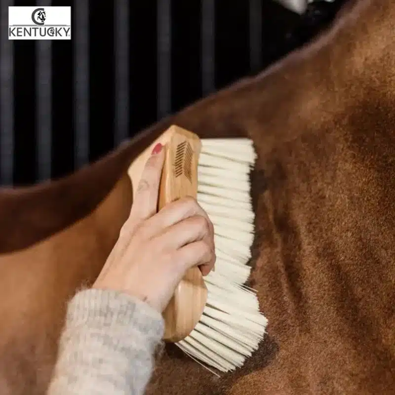 brosse à poils doux KENTUCKY Sellerie Equinoxe