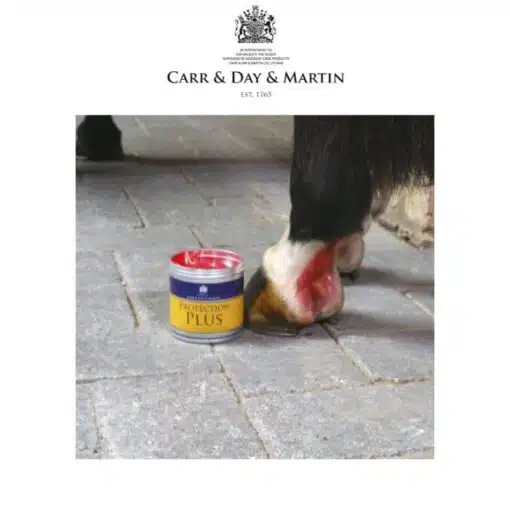 CRÈME DE PROTECTION CARR & DAY & MARTIN - PROTECTION PLUS Rose à la citronnelle Sellerie Equinoxe-Shop