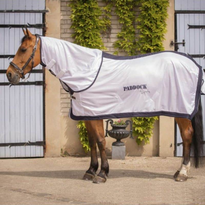 Chemise Paddock Sports mesh anti-UV Sellerie Equinoxe-Shop
