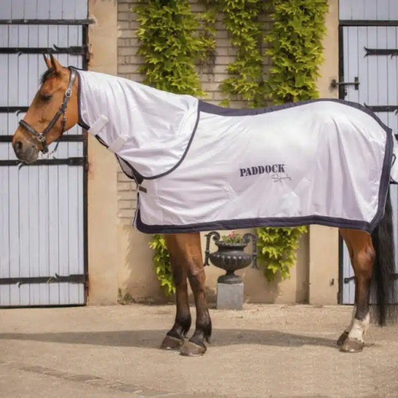 Chemise Paddock Sports mesh anti-UV Sellerie Equinoxe-Shop