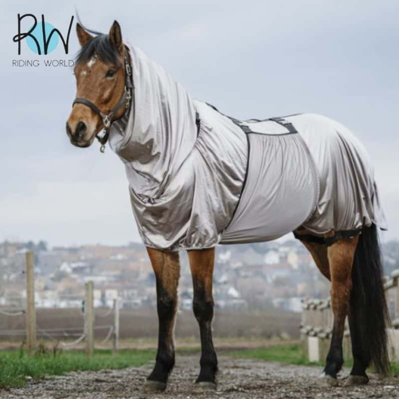 Chemise Riding World anti-eczéma pour chevaux Sellerie Equinoxe