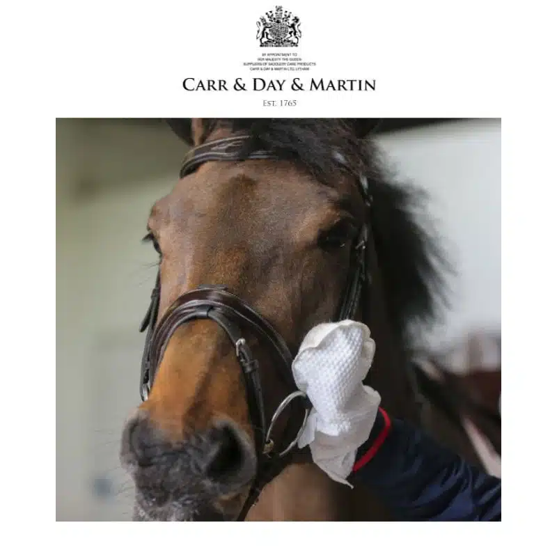 Gants de nettoyage Tack Cleaner bottes équitation CARR DAY MARTIN Sellerie Equinoxe Shop