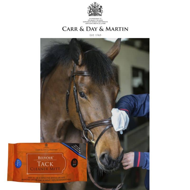 Gants de nettoyage Tack Cleaner pack de 10 CARR DAY MARTIN Sellerie Equinoxe Shop