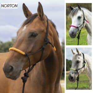 Norton Cavezza Per Cavallo Licol Fluo Foderata – Arancione, Regolabile Con Fibbie E Moschettone, Morbida In Neoprene