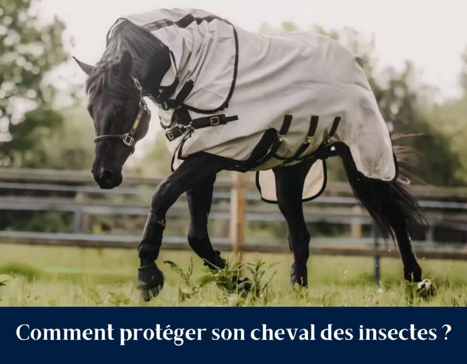 Chemise anti-mouches, chemise anti-eczéma, produits répulsifs et masque anti-mouches pour cheval et poney Sellerie Equinoxe Shop