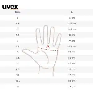 Guide des tailles gants d'équitation UVEX Sellerie Equinoxe