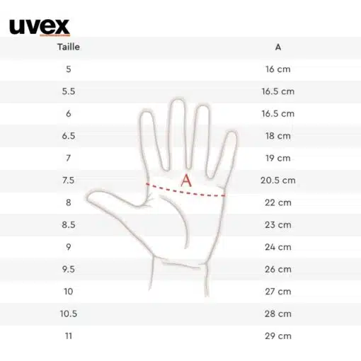 Guide des tailles gants d'équitation UVEX Sellerie Equinoxe