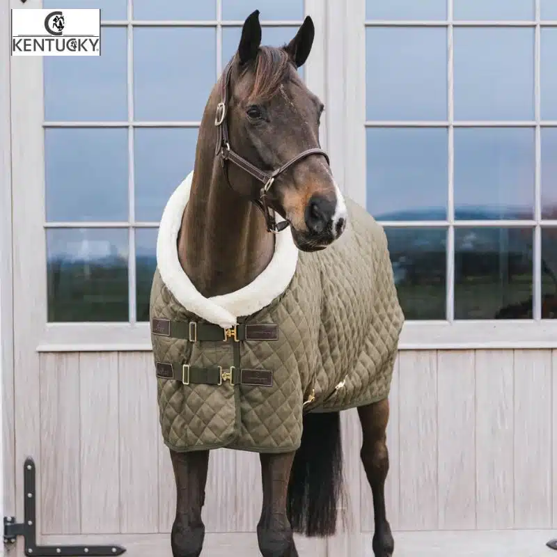 Chemise de présentation Show Rug Vert kaki 52101 Kentucky Horsewear Sellerie Equinoxe Fuveau