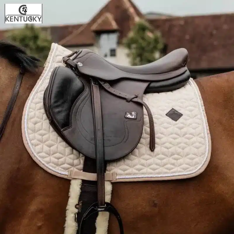 Tapis de CSO Wool Chevron Beige Kentucky Sellerie Equinoxe Shop Fuveau