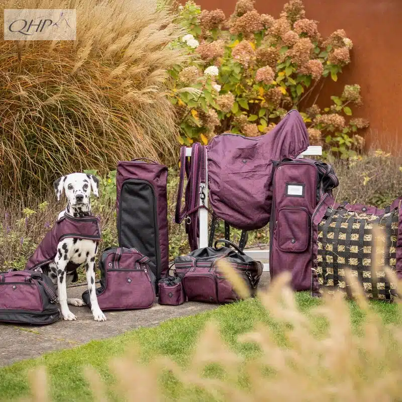 Collection QHP AW25 prune collection Sellerie Equinoxe Shop Fuveau