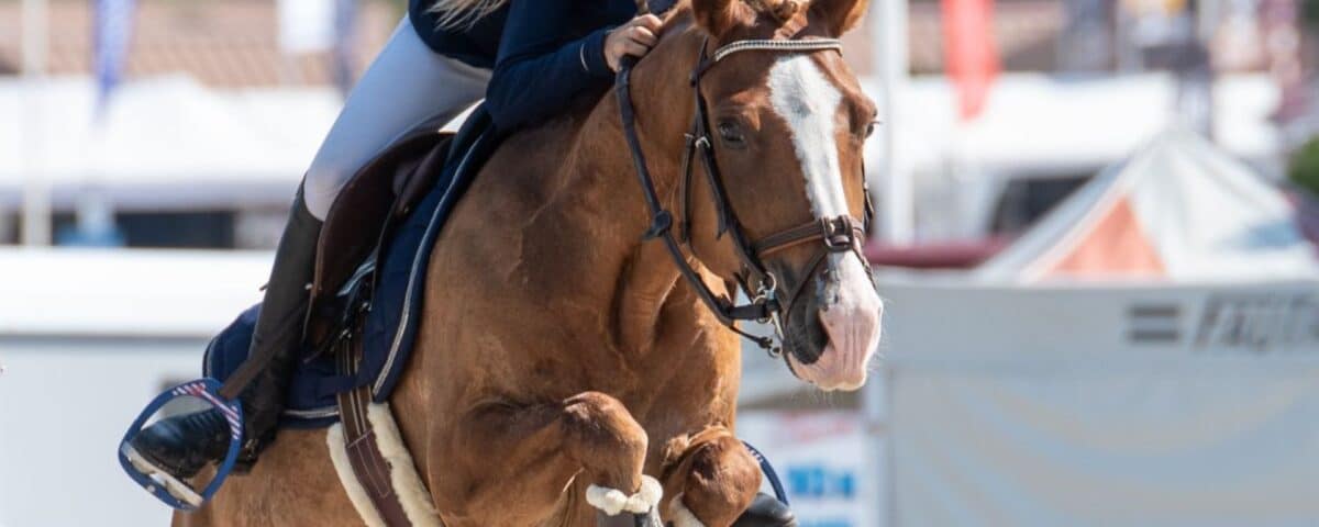 Rênes Penelope Élastique | Rênes d'équitation