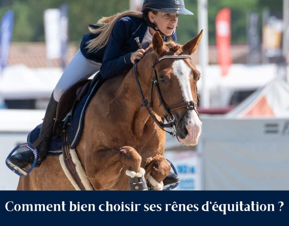 Comment bien choisir ses rênes d'équitation Sellerie Equinoxe-Shop Fuveau rênes western, de bride, de filet, de bridon, éducative Shetland Poney Cheval Pur-sang