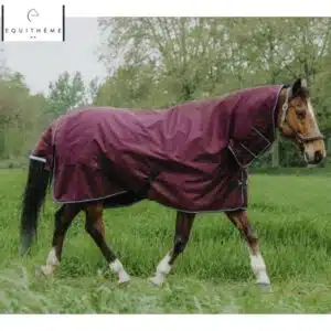 Couverture d’extérieur combo 1200 d cheval EQUITHÈME by Sellerie Equinoxe