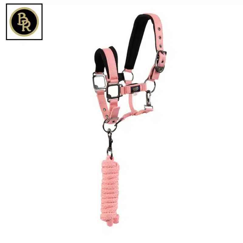 Set licol et longe mini horse rose BR Sellerie Equinoxe Shop Fuveau