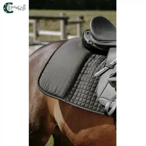 Tapis de randonnée long confort Randol's cheval Sellerie Equinoxe