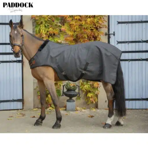 Chemise marcheur Laine WALKER WOOLTOUCH GRIS PADDOCK SPORT Sellerie Equinoxe-Shop Fuveau