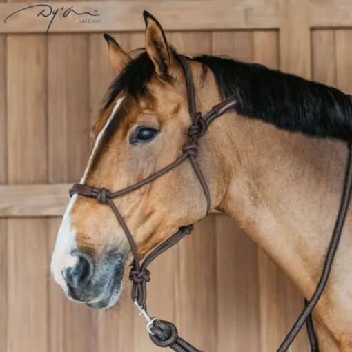 Tout savoir sur les bijoux en crin de cheval