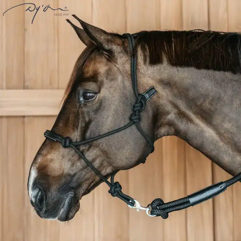 Licol d'Entrainement corde pour cheval modèle Training noir WO09CBL DYON Sellerie Equinoxe Shop Fuveau