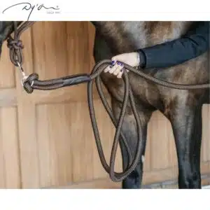 Longe d'Entrainement corde pour cheval modèle Training havane WO10DBR DYON Sellerie Equinoxe Shop Fuveau