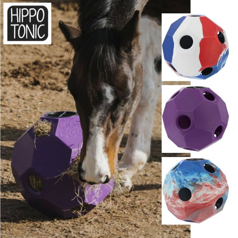 Balle de jeu et de foin pour chevaux anti-glouton colorées HIPPOTONIC Sellerie Equinoxe-Shop