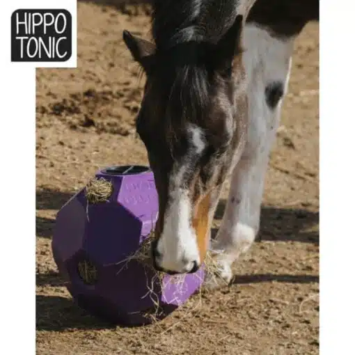 Balle de jeu et de foin pour chevaux anti-glouton violet HIPPOTONIC Sellerie Equinoxe-Shop Fuveau