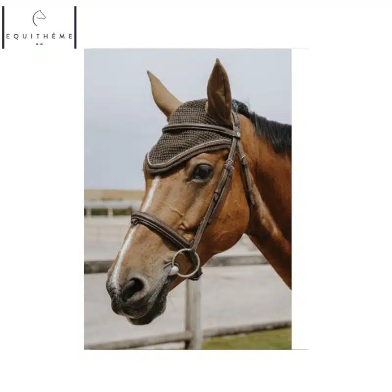 Bonnet Hexalight choco EQUITHÈME Sellerie Equinoxe Shop Fuveau