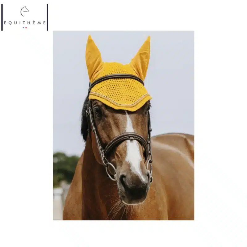 Bonnet Hexalight jaune EQUITHÈME Sellerie Equinoxe Shop Fuveau