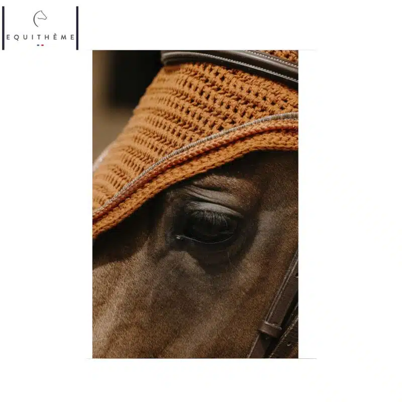 Bonnet Hexalight terracotta EQUITHÈME Sellerie Equinoxe Shop Fuveau Bonnet Hexalight terracotta EQUITHÈME Sellerie Equinoxe Shop Fuveau