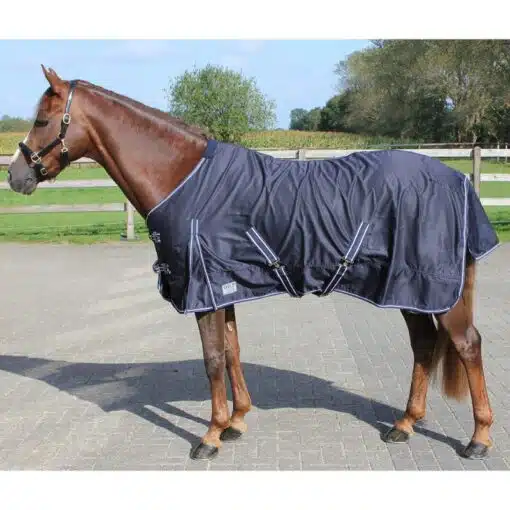 Chemise coton cheval QHP Sellerie Equinoxe Shop Fuveau