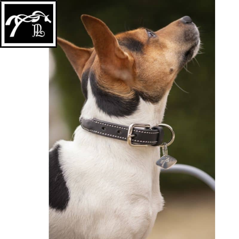 Collier pour Chien Olie cuir rond PENELOPE COLLECTION Sellerie Equinoxe Shop