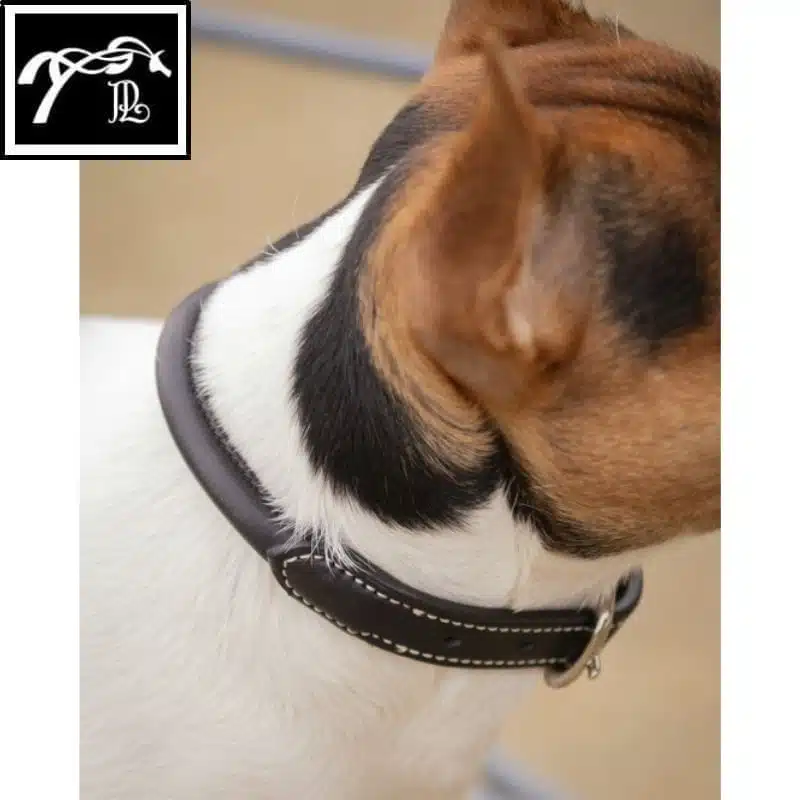 Collier pour Chien Olie cuir rond havane PENELOPE COLLECTION Sellerie Equinoxe Shop