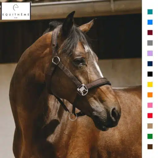 LICOL EQUITHÈME Jacquard Cheval Sellerie Equinoxe Shop Fuveau