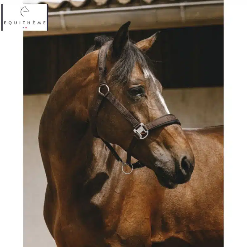 LICOL EQUITHÈME Jacquard choco Sellerie Equinoxe Shop Fuveau