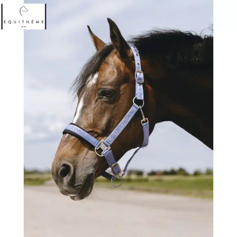 LICOL EQUITHÈME Jacquard ciel Sellerie Equinoxe Shop Fuveau