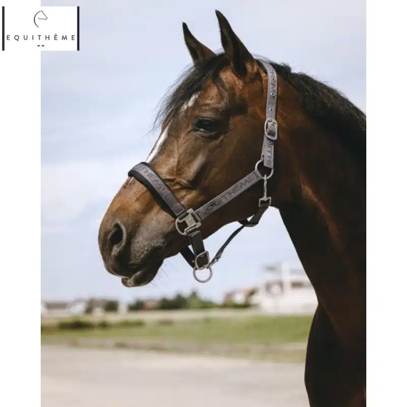 LICOL EQUITHÈME Jacquard gris Sellerie Equinoxe Shop Fuveau