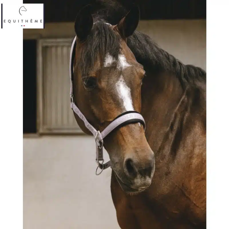 LICOL EQUITHÈME Jacquard rose Sellerie Equinoxe Shop Fuveau