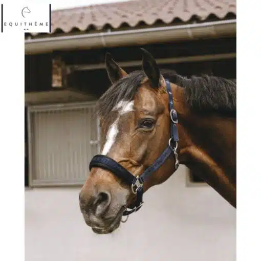 LICOL EQUITHÈME Jacquard marine Sellerie Equinoxe Shop Fuveau