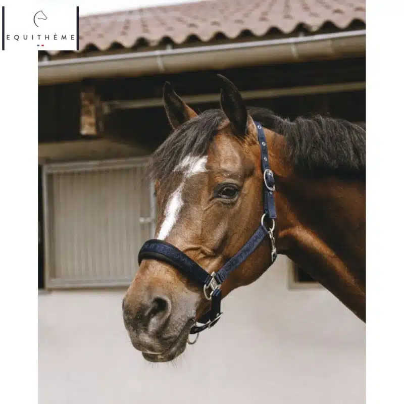 LICOL EQUITHÈME Jacquard marine Sellerie Equinoxe Shop Fuveau