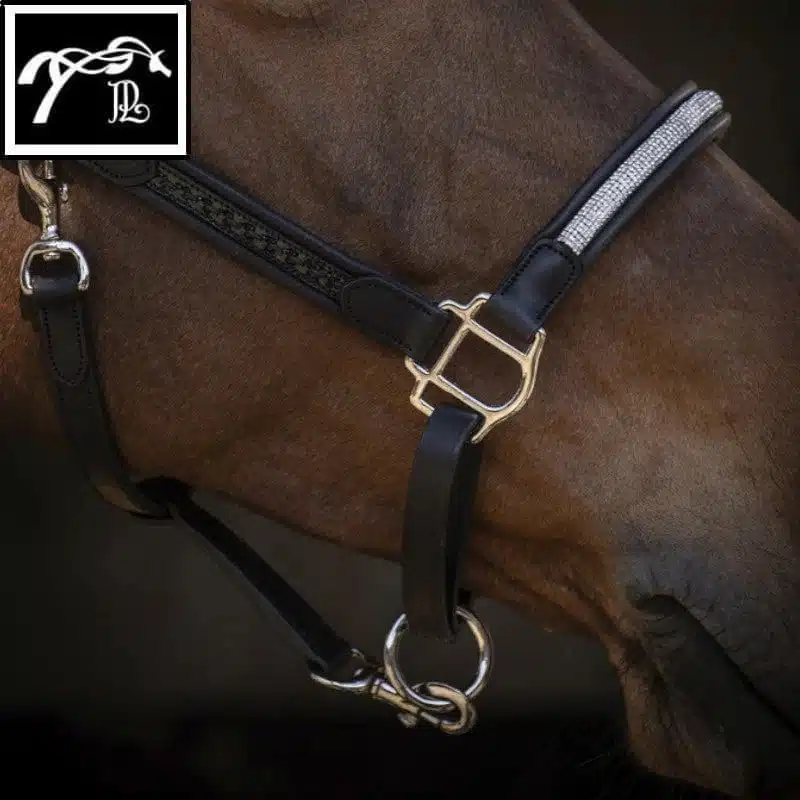 Licol Harmonie noir Pénélope Collection Sellerie Equinoxe Shop Fuveau