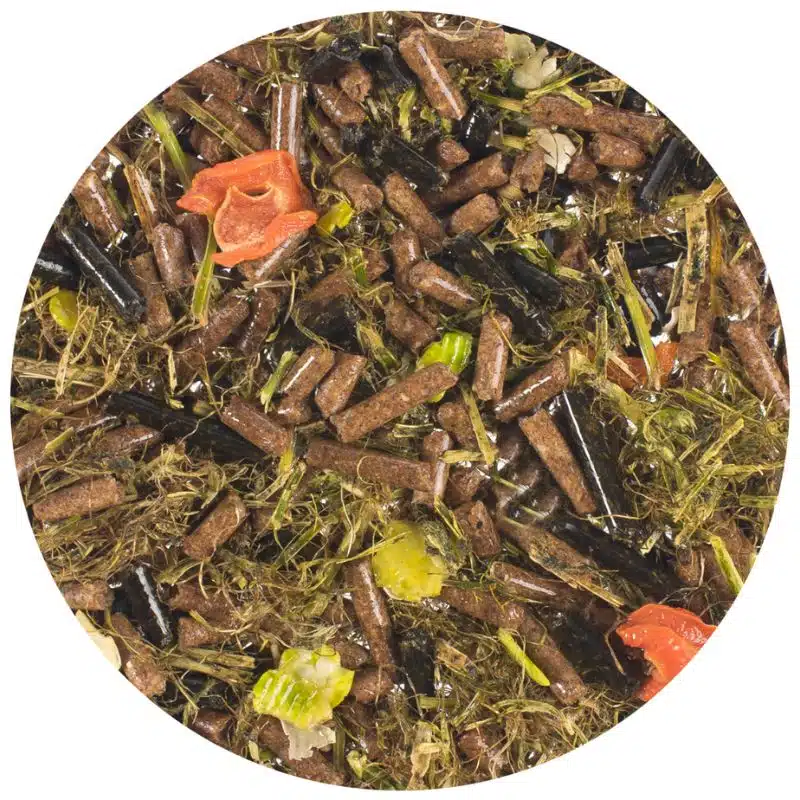 Energy Fiber LAMBEY sans grains de céréales et sans sucres ajoutés Sellerie Equinoxe Shop Fuveau