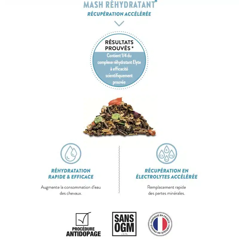 HYDRA MASH LAMBEY Mash réhydratant pour la récupération après l'effort Sellerie Equinoxe Shop