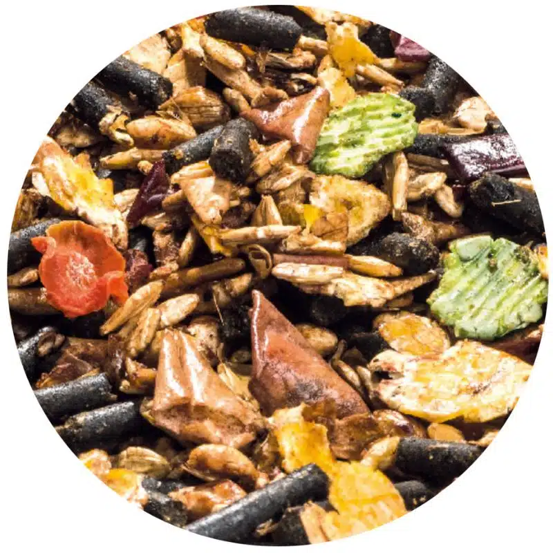 HYDRA MASH Lambey avec électrolytes Mash réhydratant pour la récupération après l'effort Sellerie Equinoxe Shop