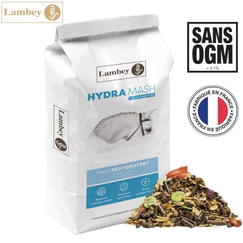 HYDRA MASH avec électrolytes LAMBEY Mash réhydratant pour la récupération après l'effort Sellerie Equinoxe Shop Fuveau